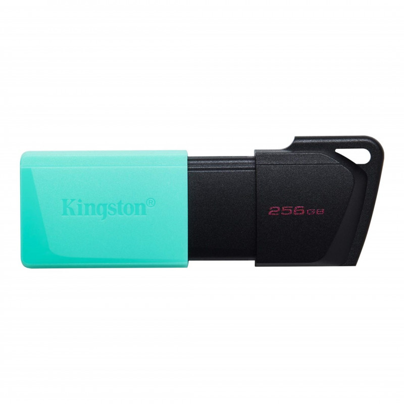 USB-nøgler - Kingston USB 3.2 Gen1 USB-flashdrev 256 GB