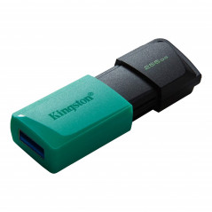 Kingston USB 3.2 Gen1 USB-flashdrev 256 GB