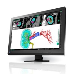 Eizo RadiForce MX242W 24-tommer LED-skærm med IPS-panel (brugt med ridser)