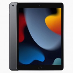 Brugte iPad Pro, Mini og Air - iPad (9th Gen) 10.2" 64GB Wi-Fi Space Gray (brugt)