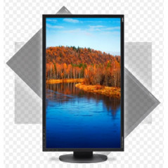 Brugte computerskærme - NEC MultiSync 23" LCD-skærm med IPS-panel (brugt)