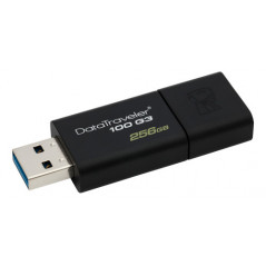 Kingston USB 3.1 USB-minne 256GB